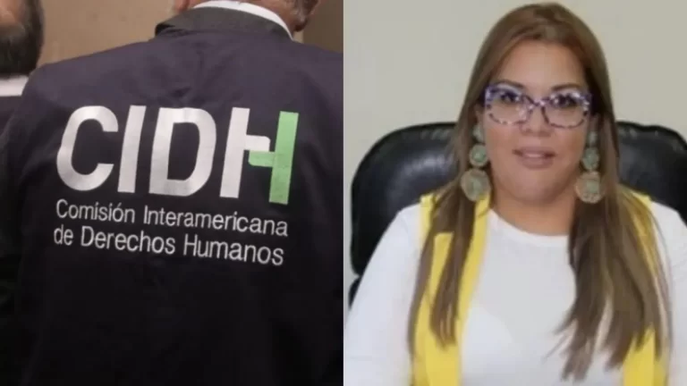 CIDH emplaza al Estado hondureño que informe sobre investigación a la titular del CONADEH