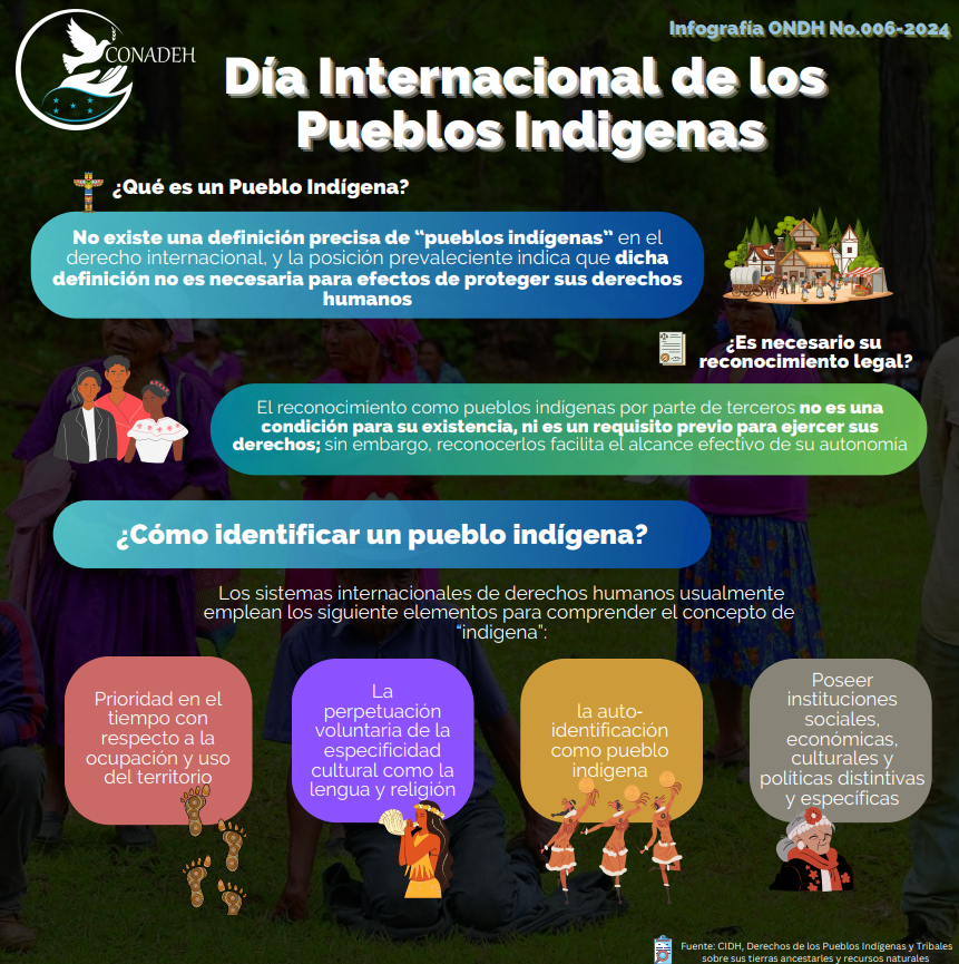 Infografia ONDH 006-2024