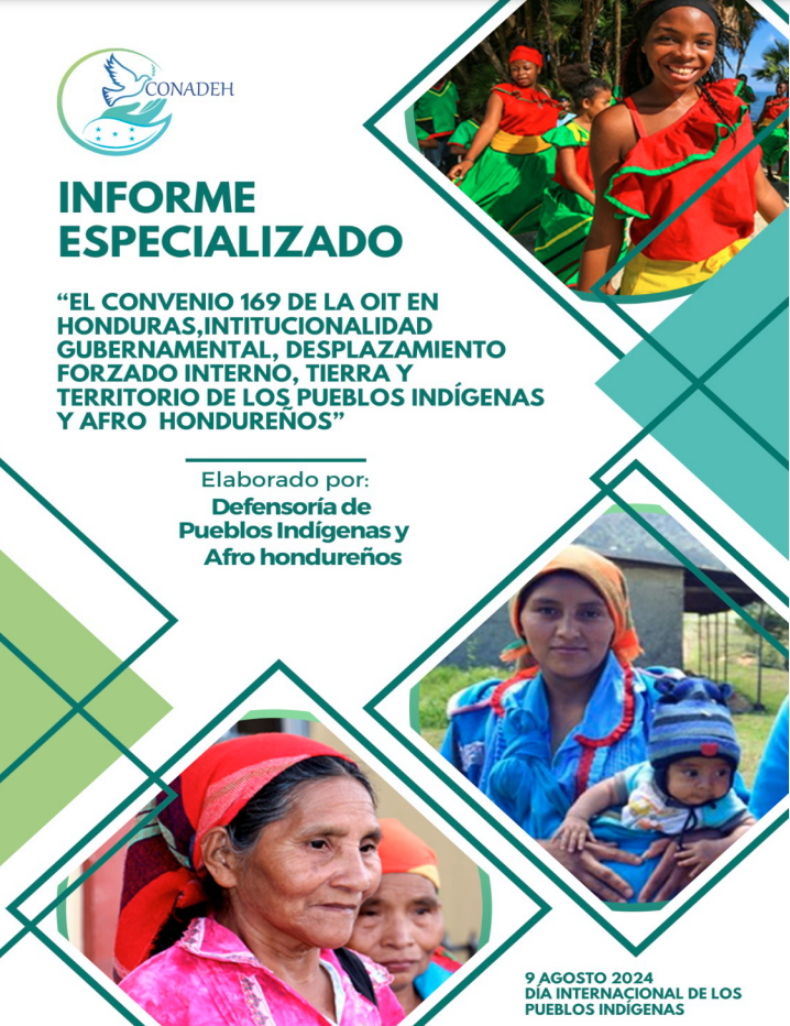 Informe Especializado sobre El Convenio 169 de la Organización Internacional del Trabajo en Honduras, Institucionalidad Gubernamental, Desplazamiento Forzado Interno, Tierra y Territorio de los Pueblos Indígena y Afro hondureños.