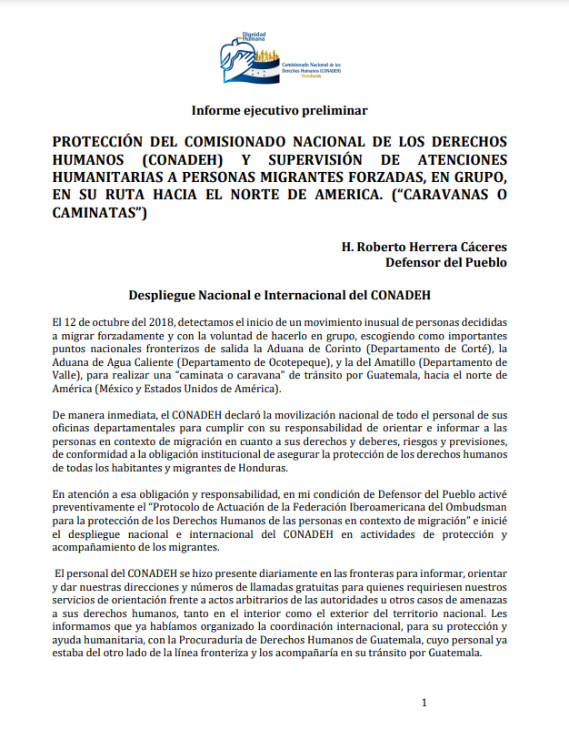 Informe Preliminar: Protección Personas Migrantes en Ruta hacia Norte de América