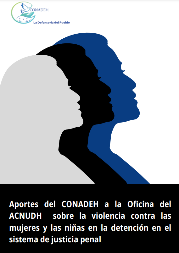 Aportes del CONADEH a la Oficina del ACNUDH sobre la violencia contra las mujeres y las niñas en la detención en el sistema de justicia penal (en seguimiento a A/HRC/RES/53/27)