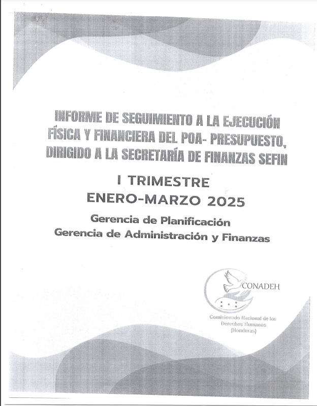 Primer Informe Trimestral 2025