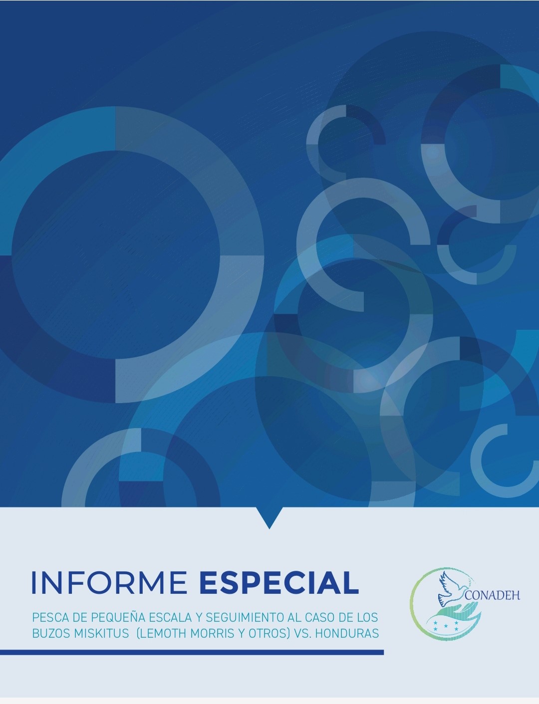 INFORME ESPECIAL PESCA EN PEQUEÑA ESCALA Y SEGUIMIENTO AL CASO DE LOS BUZOS MISKITOS (LEMOTH MORRIS Y OTROS) VS. HONDURAS