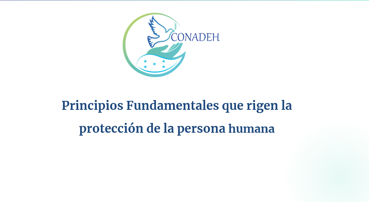 Principios de los DDHH