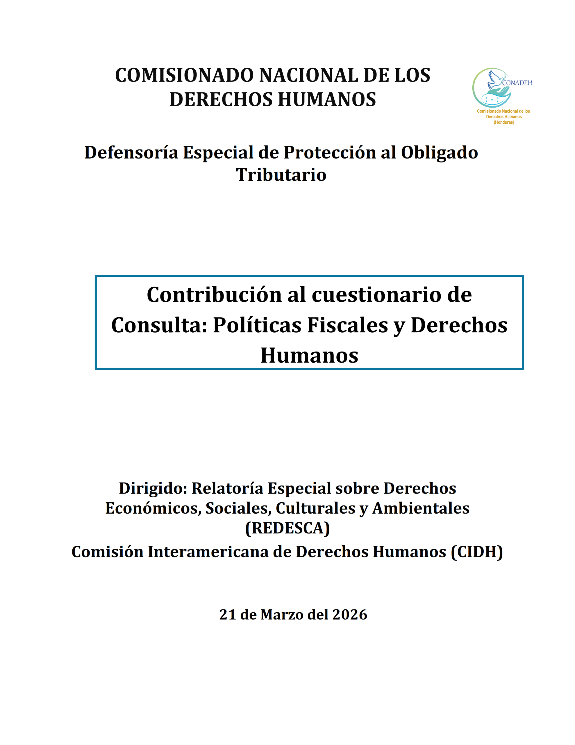 Contribución al cuestionario de Consulta: Políticas Fiscales y Derechos Humanos
