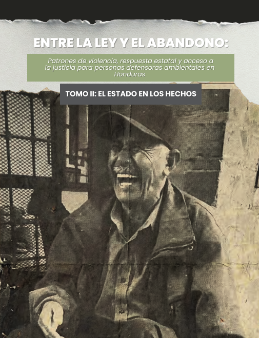 Estudio: Entre la Ley y el Abandono – Tomo II