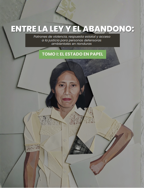 Estudio: Entre la Ley y el Abandono – Tomo I