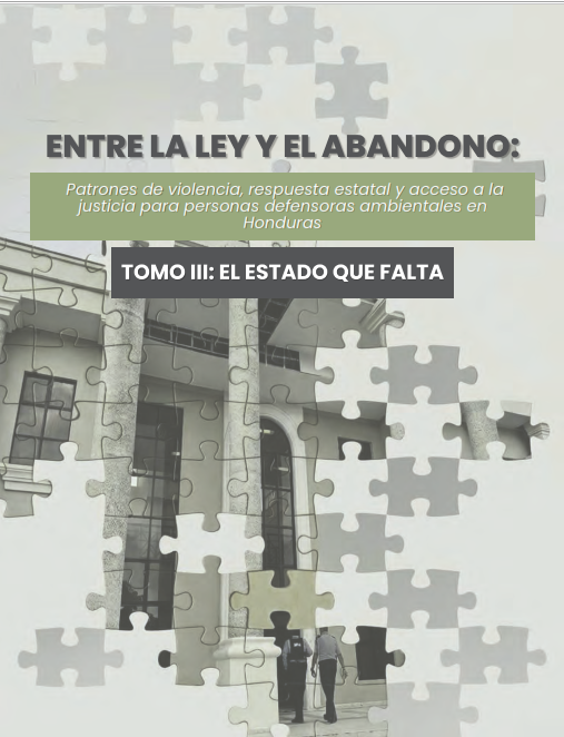 Estudio: Entre la Ley y el Abandono – Tomo III