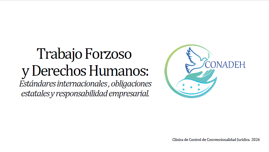 PPT Trabajo Forzoso y DDHH.
